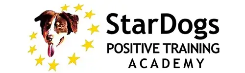 StarDogs Akademi Logo